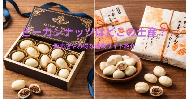 洋風の高級ピーカンナッツチョコレート（サロンドロワイヤル風）と、和紙包装の和風ピーカンナッツチョコレート（小倉山荘風）を左右に並べた比較イメージ